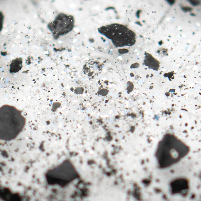 Birth of the Solar System - Allende Meteorite