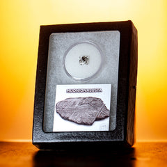 Collection image for: Artifacts & Specimen